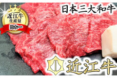 【総本家　肉のあさの】５等級近江牛焼肉用（もも・かた）【400ｇ】【AE11U】