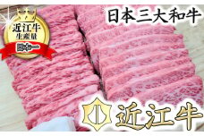 【総本家　肉のあさの】５等級近江牛焼肉用（肩ロース・バラ）【500ｇ】【AE12U】