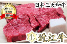 【PRキャンペーン対象】【総本家　肉のあさの】５等級近江牛カットステーキ（もも）【500ｇ】【AE13U】