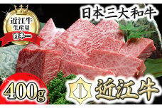 【PRキャンペーン対象】近江牛A5ランクサイコロステーキ【400g】【DG06U】
