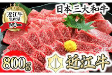 近江牛A5ランク焼肉美味セット【800g】【DG10U】