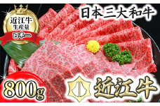 近江牛A5ランク焼肉・すき焼セット【800g】【DG11U】