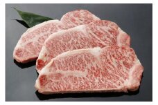 生産牧場指定　料亭こだわりの近江牛　サーロインステーキ【200g×3枚】【DM01U】