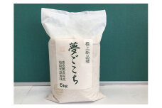 【6年産】近江米夢ごこち【5kg×1袋】【T034U1】
