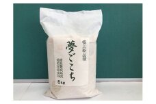 【6年産】近江米夢ごこち【5kg×1袋】【T034U1】