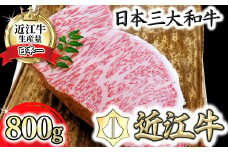 近江牛A5ランクサーロインブロック【800g】【DG09U】
