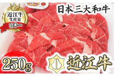 【A4等級以上】近江牛モモすき焼用切落し 250g【DG22U】