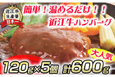 【総本家肉のあさの】近江牛ハンバーグ【600ｇ（120ｇ×5個）】【AE14U】