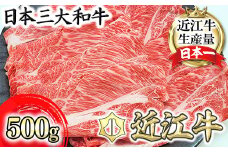 【PRキャンペーン対象】【総本家　肉のあさの】近江牛肩ロースすき焼き用 500ｇ【250ｇ×2】【AE16U】