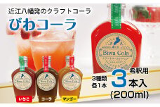 クラフトコーラ びわコーラシロップ3本セット【DC04U】