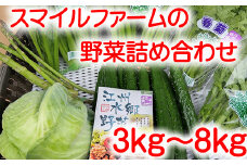 近江農家野菜詰め合わせセット３kg～８kg【FM03U】