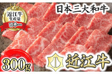 【認定近江牛雌牛限定】近江牛特上焼肉　バラ・モモ300g【カネ吉山本】【Y116U】