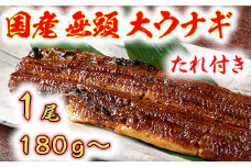 国産うなぎ　備長炭地焼き蒲焼き180g以上×1尾　タレ付き×1【FU01U】