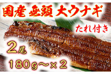 【PRキャンペーン対象】国産うなぎ　備長炭地焼き蒲焼き180g以上×2尾　タレ付き×2【FU02U】