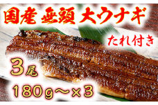 【PRキャンペーン対象】国産うなぎ　備長炭地焼き蒲焼き180g以上×3尾　タレ付き×3【FU03U】