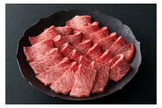 【PRキャンペーン対象】近江牛焼肉用『霜降り×赤身のミックス』【550g】【寛閑観】【FR07U】
