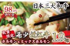 数量限定 希少近江牛ホルモン＆ミックスホルモン 合計1.9kg【FO05U】