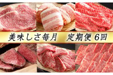 【カネ吉山本】近江牛 おいしさ毎月便－喜－（全6回定期便）（2023年9月改定）【Y092W】