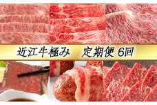 【定期便6回】【カネ吉山本】近江牛極み定期便-禄-【Y132U】