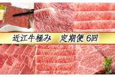 【定期便6回】【カネ吉山本】近江牛極み定期便-慶-【Y133W】