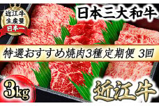 【定期便】A5等級特選近江牛おすすめ部位 焼肉3種（1kg×3回）【FO21U】