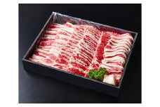 A5等級　未経産雌限定　近江牛カルビ焼肉　700g【FO08U】