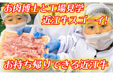 お肉博士と工場見学　近江牛スゴーイ！～お持ち帰りできる近江牛500g付～【CB13U】