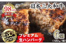 近江牛１００％　プレミアム生ハンバーグ　720g（約120g×6個）【FO18U】