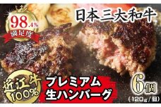 近江牛１００％　プレミアム生ハンバーグ　720g（約120g×6個）【FO18U】