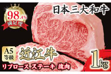 A5等級 未経産雌限定　近江牛リブロース　ステーキ　塊肉1kg折箱入【FO20U】