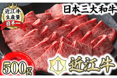 【寛閑観】近江牛焼肉用『霜降り×赤身ミックス』500g（冷蔵）【FR23U】