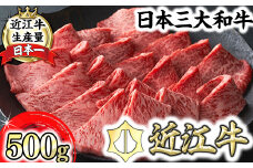【寛閑観】近江牛焼肉用『霜降り×赤身ミックス』500g（冷蔵）【FR23U】