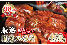 希少　和牛入国産牛　ハラミ480g　秘伝の自家製タレ漬け【FO22U】