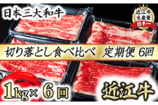 【定期便】全6回　A5 近江牛切り落とし食べ比べ 　250ｇ×4ｐ【FO27U】