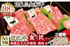 A5等級未経産雌牛　特選近江牛おすすめ部位　焼肉3種盛り　300ｇ【FO29U】