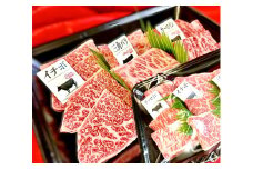 A5等級未経産雌牛　特選近江牛おすすめ部位　焼肉3種盛り　600ｇ【FO30U】