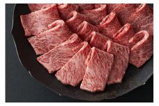 【寛閑観】近江牛『赤身』焼肉用（ランプ・イチボ）500ｇ【冷蔵】【FR27U】