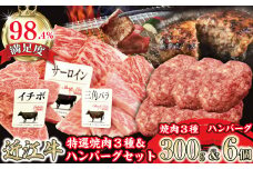特撰近江牛おすすめ部位　焼肉3種300ｇ＆近江牛生ハンバーグ６個セット【FO41U】