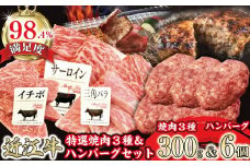 特撰近江牛おすすめ部位　焼肉3種300ｇ＆近江牛生ハンバーグ６個セット【FO41U】