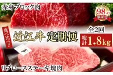【定期便】近江牛定期便　塊肉　ブロック肉赤身霜降り食べ比べ　全2回【FO47U】