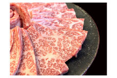 近江牛 ロース焼肉用【450g】【A4A5等級 】 未経産雌限定【FO67U】