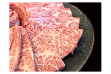 近江牛 ロース焼肉用【450g】【A4A5等級 】 未経産雌限定【FO67U】