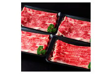 【訳あり】近江牛  切り落とし 250ｇ×4　1kg【A4A5等級】【FO68U】 ( わけあり 切り落し スライス バラ ブリスケ コウネ 和牛 ブランド牛 ごはんのお供 牛肉 和牛 赤身 霜降り 惣菜 おかず 炒め物 焼き肉 焼肉 切落し 贈り物 ギフト 国産 滋賀県 近江八幡市 神戸牛 松阪牛 に並ぶ 日本三大和牛 ふるさと納税 )
