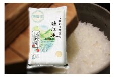 【PRキャンペーン対象】【6年産】近江米 環境こだわり栽培 コシヒカリ 無洗米 【10kg×1】【BN01U1】