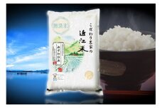 【PRキャンペーン対象】【6年産】近江米 環境こだわり栽培 みずかがみ 無洗米 【10kg×1】【BN02U1】