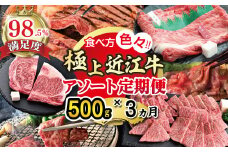 【期間限定】極上近江牛500g　食べ方色々！アソート定期便【ZZ49U】