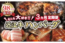 【期間限定】みんな大好き　ハンバーグ定期便【ZZ51U】