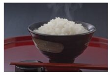 【新米】【7年産】近江米　ミルキークイーン 白米【5kg×1袋】【V009U3】