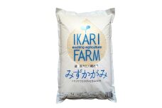 【新米】【7年産】冷めても美味しいあっさりとした味わい「みずかがみ」白米【5㎏】【C014W】