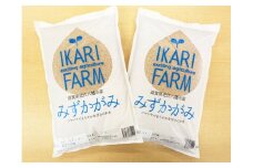 【新米】【7年産】冷めても美味しいあっさりとした味わい「みずかがみ」玄米【10㎏（5㎏×2袋）】【C018U1】